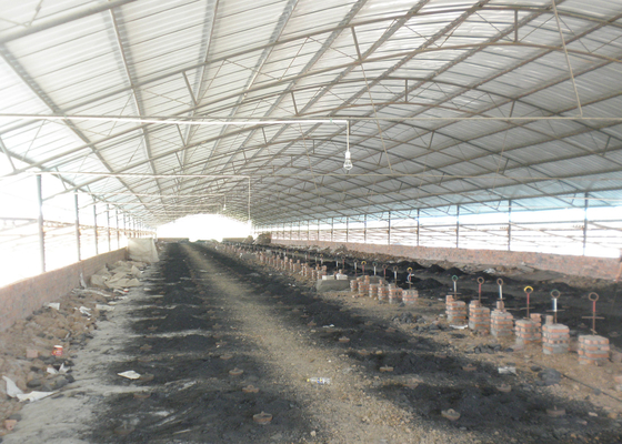 Lini Produksi Mesin Batako Berongga Tanah Liat Untuk Pabrik Kiln Hoffman